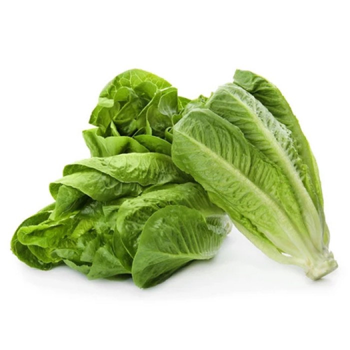 Green Lettuce Gross Wt. 200g