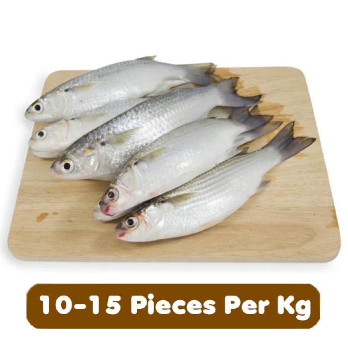 Parshe / Grey Mullet Fish (Cleaned) Gross Wt.500 gm