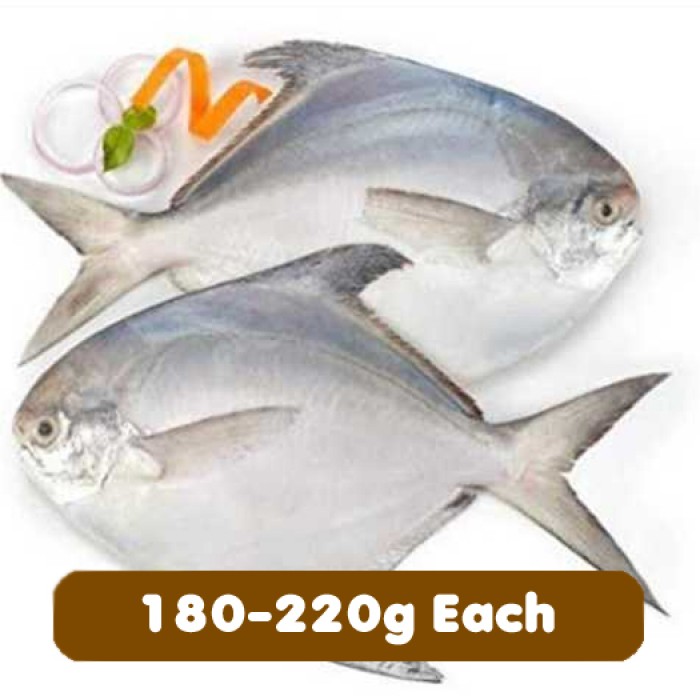 Pomfret Fish - Whole (Cleaned) Pack of 1 Piece