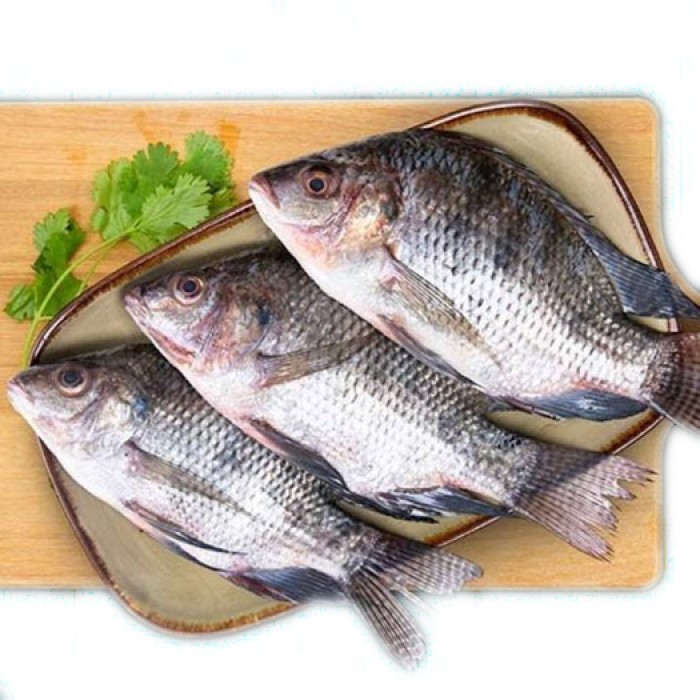Tilapia (Jalebi) Fish Gross Wt. 250 gm